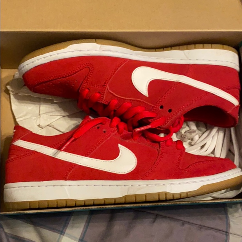 NIKE DUNK LOW PRO IW